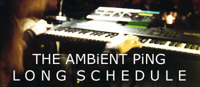 Live at The Ambient Ping - Photo by Mario Georgiou